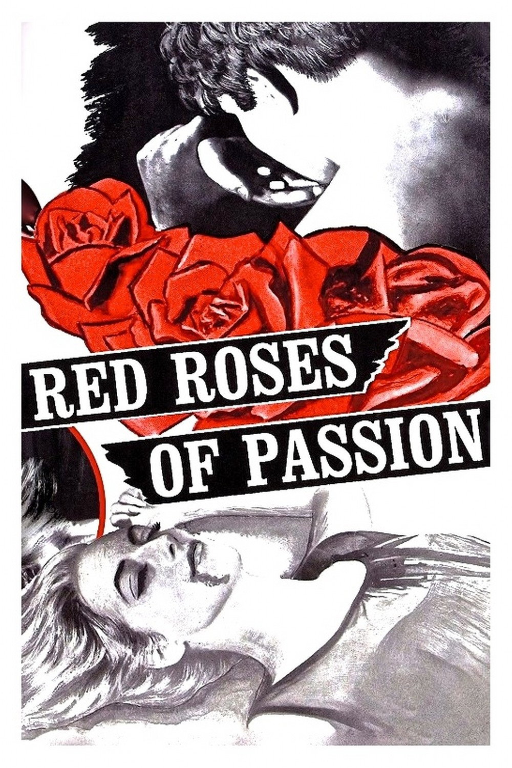 red-roses-of-passion-1
